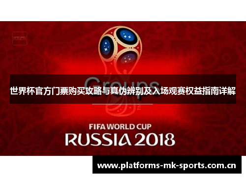 世界杯官方门票购买攻略与真伪辨别及入场观赛权益指南详解