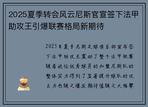 2025夏季转会风云尼斯官宣签下法甲助攻王引爆联赛格局新期待